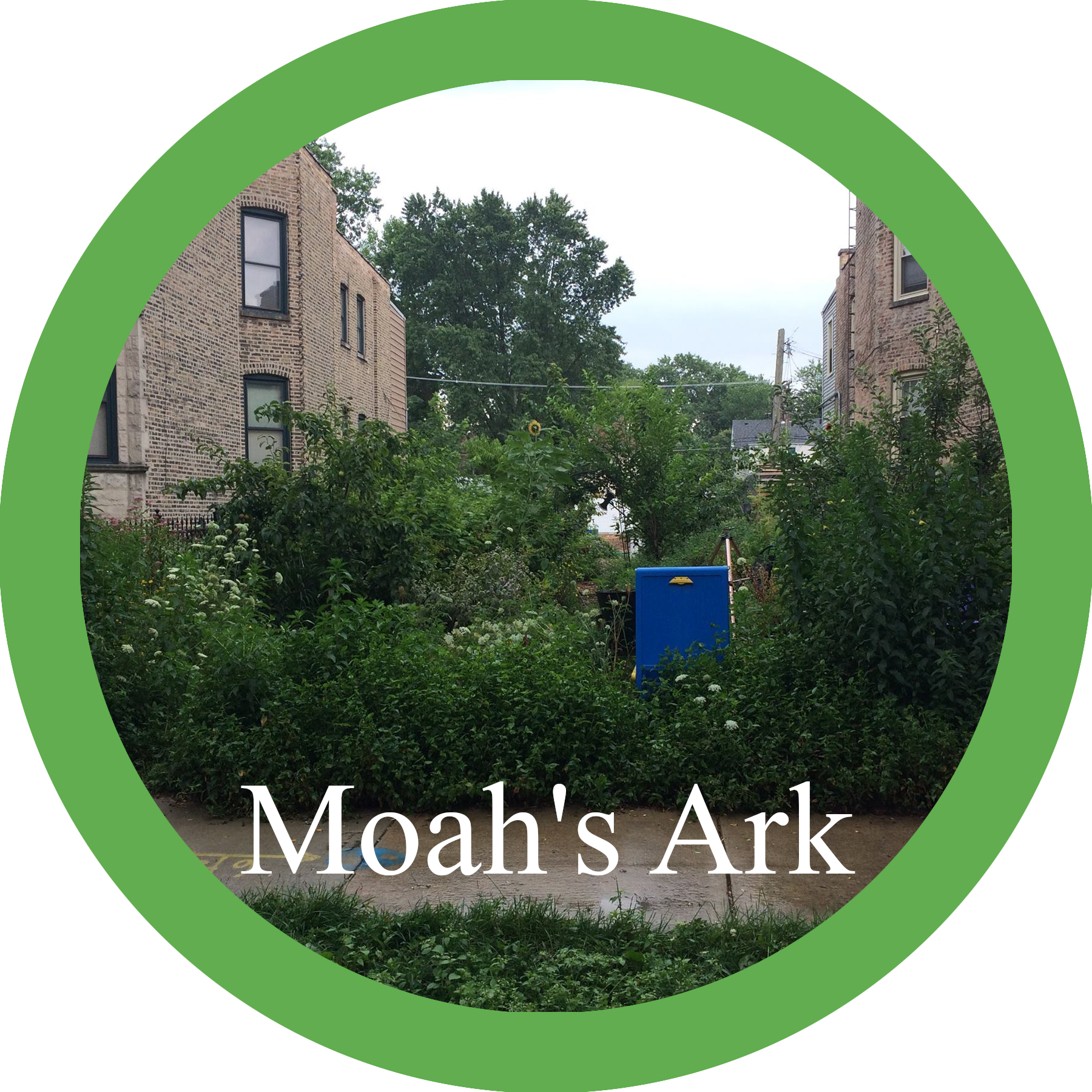 moahsark_logo1